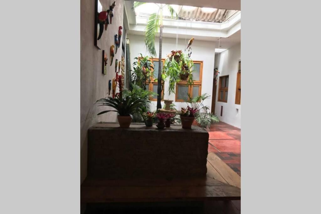 カリParrot House San Antonioアパートメント エクステリア 写真